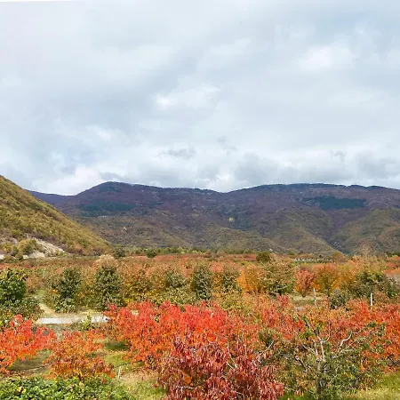 Countryside Studio Agios Athanasios (Pella)